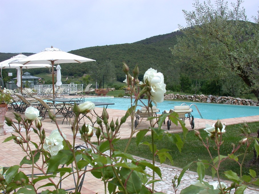 Piscina Relais Tenuta del Gallo