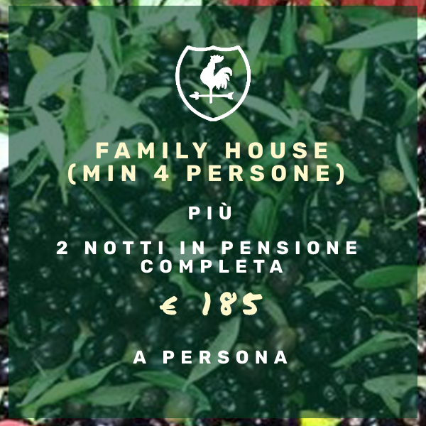 Raccolta oliva Tenuta del Gallo Family house