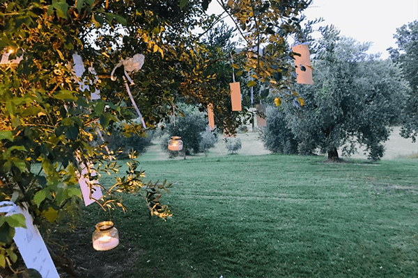 Decorazioni tenuta del gallo