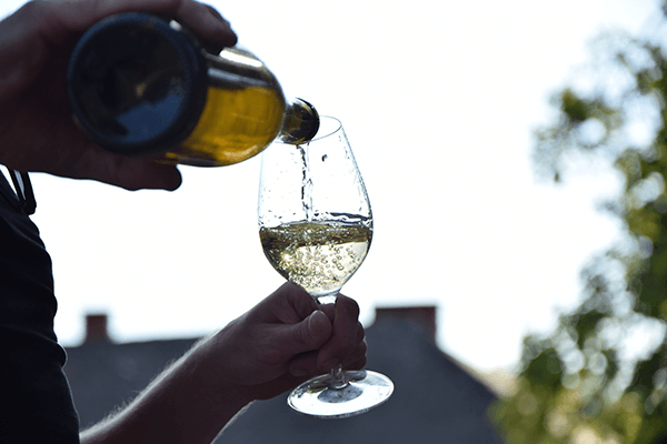 Caratteristiche del cervaro della sala