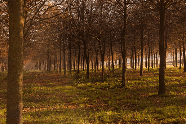 Parchi naturali in Umbria