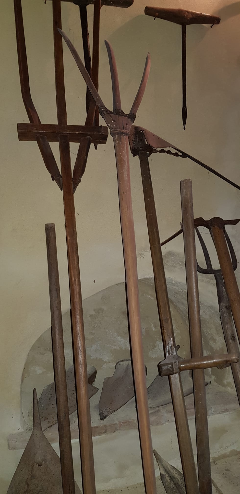 Museo Relais Tenuta del Gallo