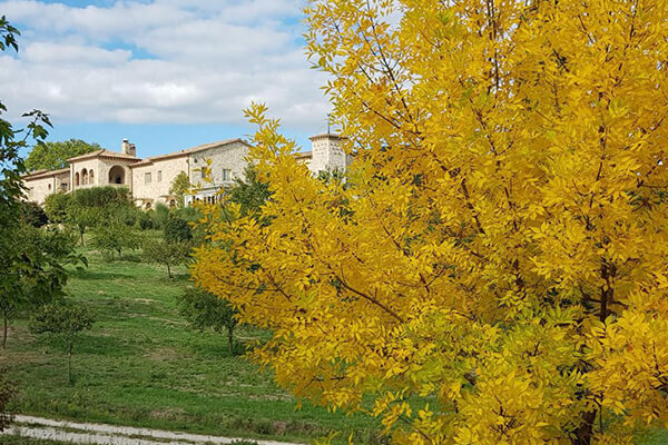 azienda agricola la casella tenuta del gallo