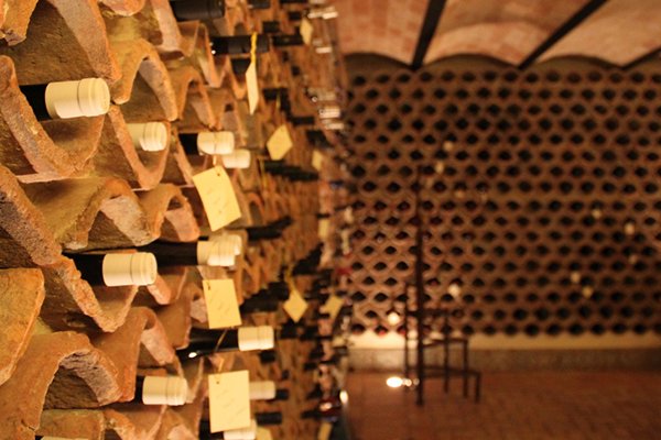 Cantina la tenuta del gallo