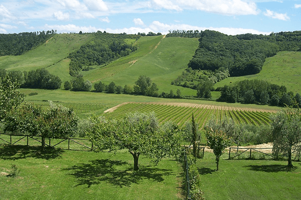 Paesaggio umbro