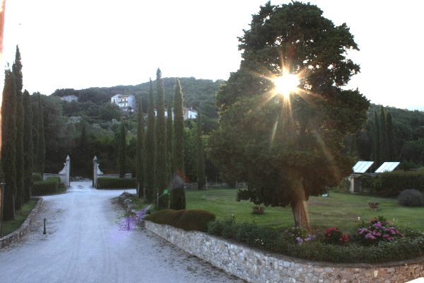 Tenuta del Gallo Last minute Umbria
