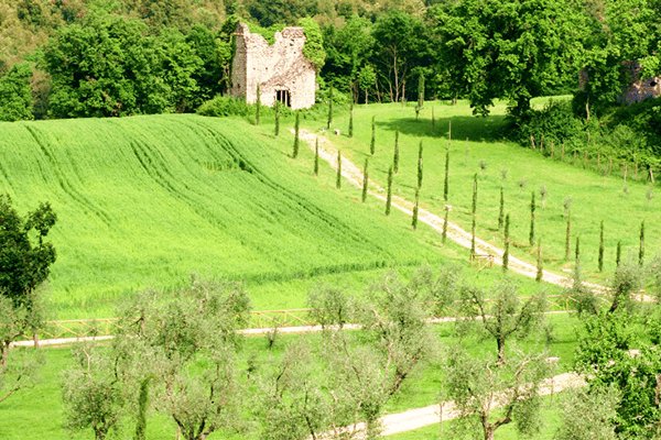 Veduta della Tenuta del Gallo