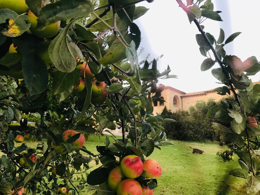 Frutteto Relais Tenuta del Gallo