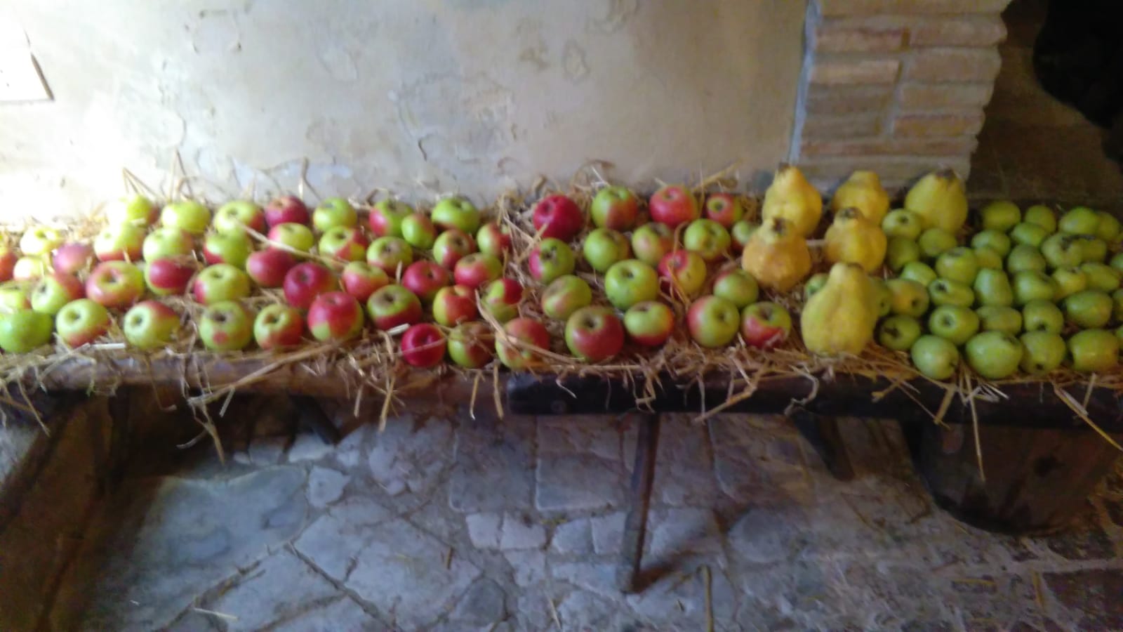 Raccolta delle mele Relais Tenuta del Gallo